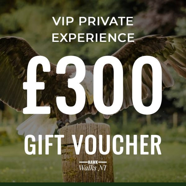 VIP Private Experience Voucher